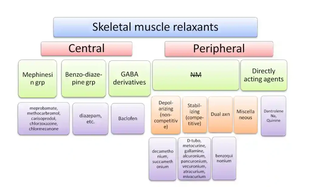 Muscle Relaxers for Different Conditions