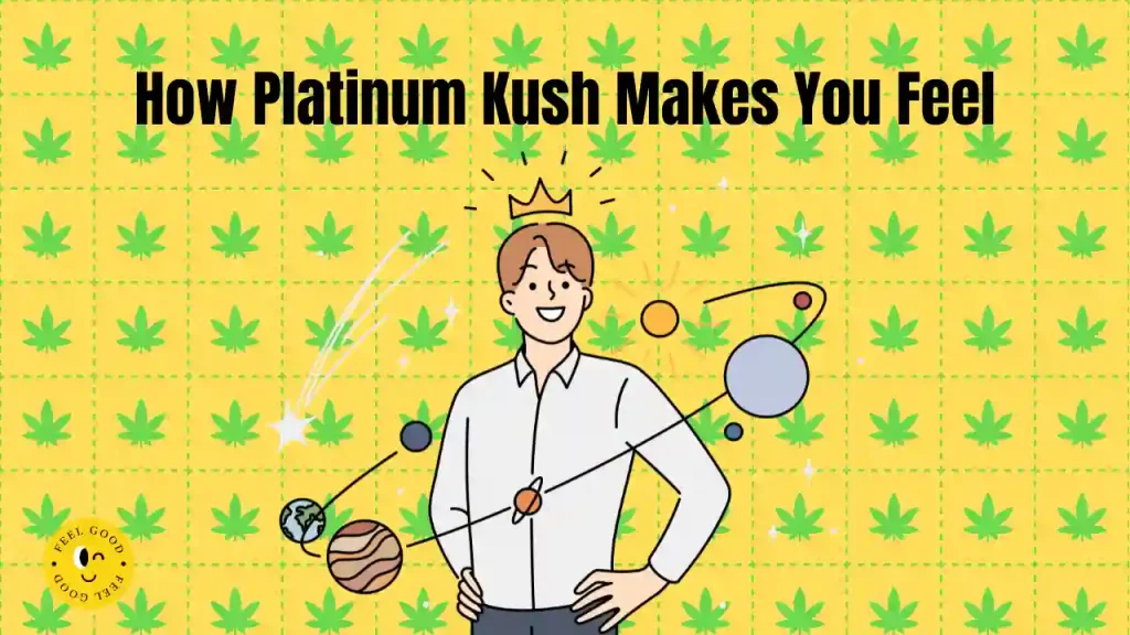 cannabis seeds