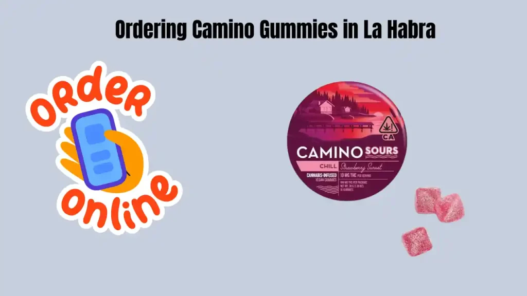 Camino Gummies