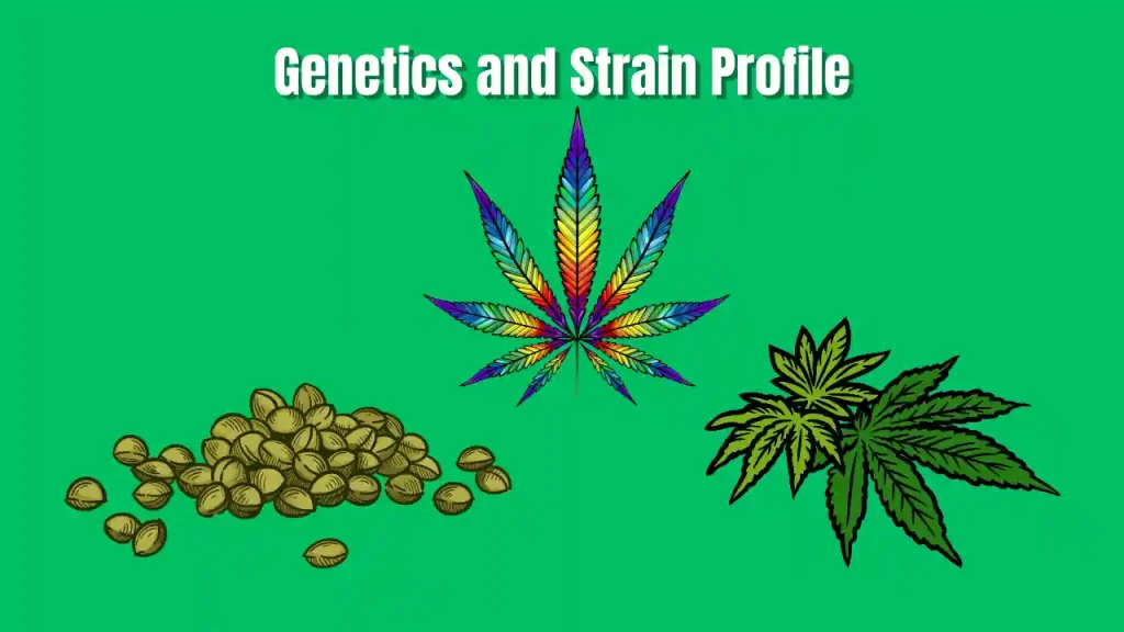cannabis seeds usa