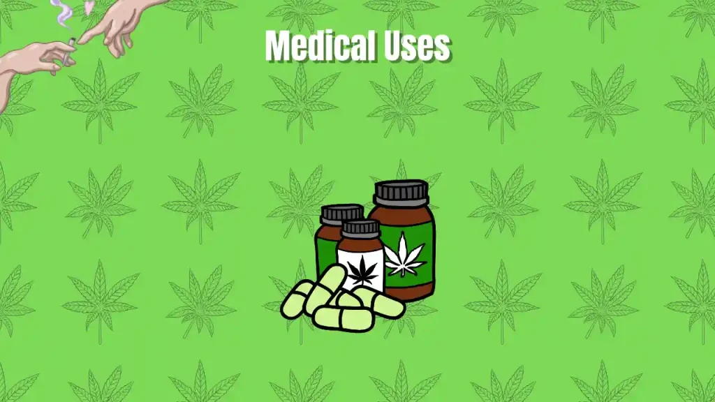 cannabis seed bank