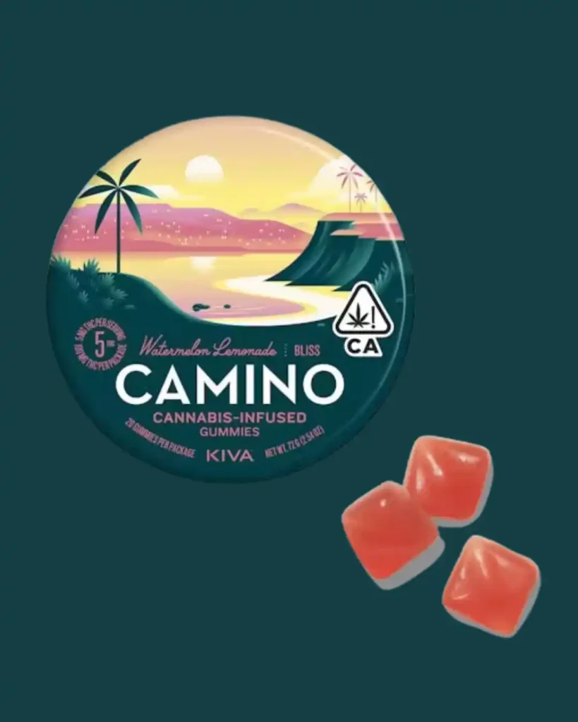 camino Watermelon Lemonade