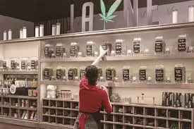 Title: Exploring the Rise of the Arts District Weed Dispensary Scene in Los Angeles Alt text: Modern exterior of an arts district weed dispensary with industrial-style architecture and vibrant mural art.
